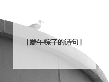 端午粽子的诗句