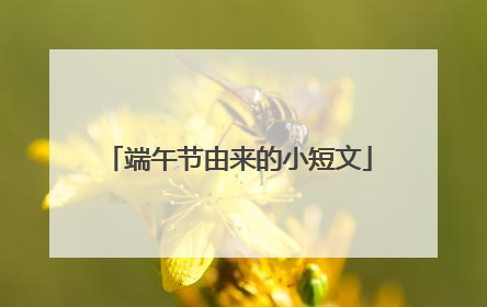 端午节由来的小短文