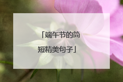 端午节的简短精美句子