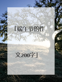 端午节的作文200字