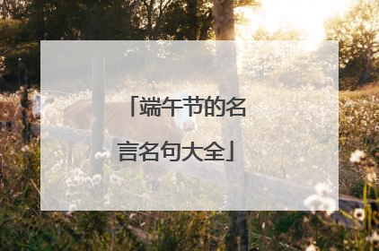 端午节的名言名句大全