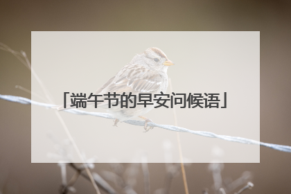 端午节的早安问候语