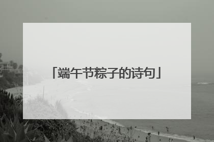 端午节粽子的诗句