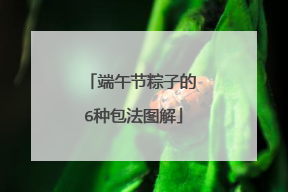 端午节粽子的6种包法图解