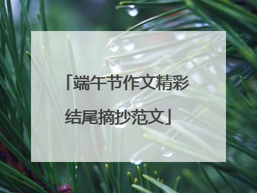 端午节作文精彩结尾摘抄范文
