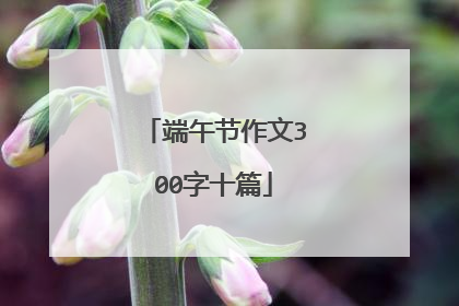 端午节作文300字十篇