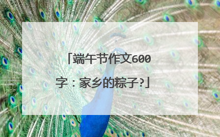 端午节作文600字:家乡的粽子?