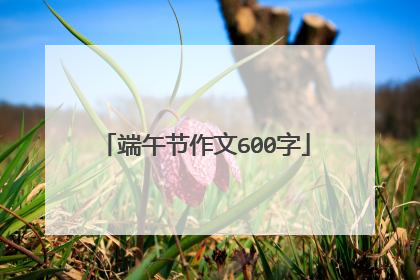 端午节作文600字