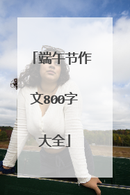 端午节作文800字大全