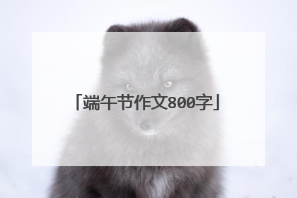 端午节作文800字