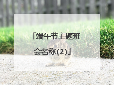 端午节主题班会名称(2)