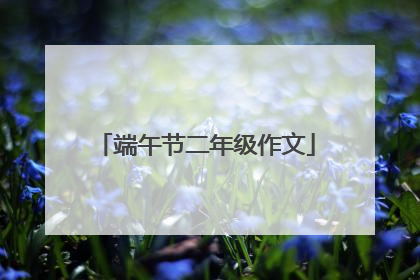 端午节二年级作文