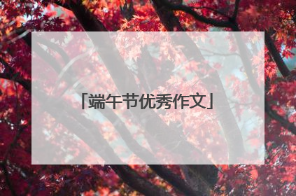 端午节优秀作文