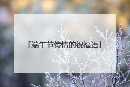 端午节传情的祝福语