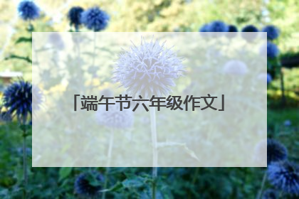 端午节六年级作文