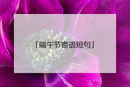 端午节寄语短句