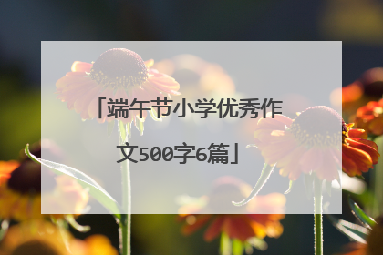 端午节小学优秀作文500字6篇
