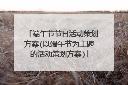 端午节节日活动策划方案(以端午节为主题的活动策划方案)