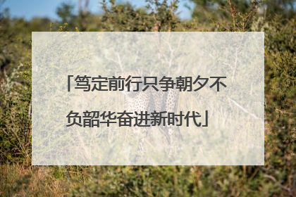 笃定前行只争朝夕不负韶华奋进新时代
