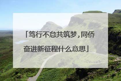 笃行不怠共筑梦,同侨奋进新征程什么意思