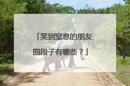 笑到窒息的朋友圈段子有哪些?