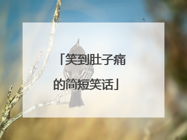 笑到肚子痛的简短笑话