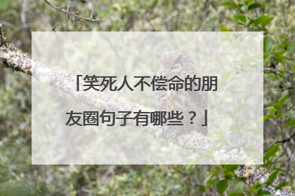 笑死人不偿命的朋友圈句子有哪些？