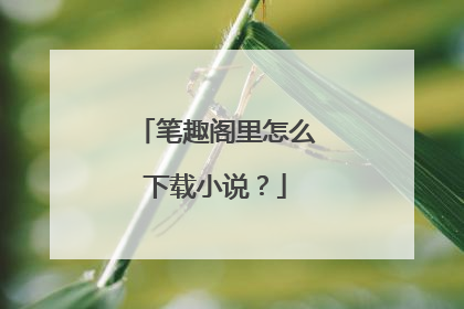 笔趣阁里怎么下载小说?