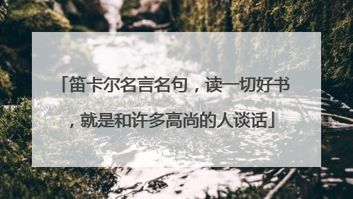 笛卡尔名言名句,读一切好书,就是和许多高尚的人谈话