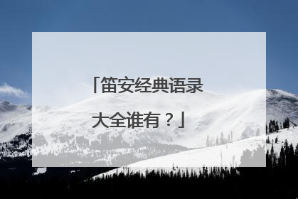笛安经典语录大全谁有？