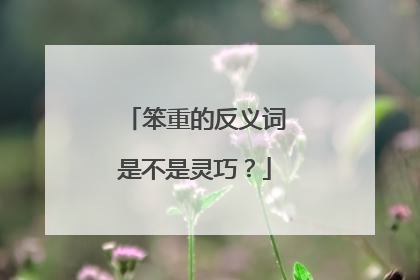笨重的反义词是不是灵巧？