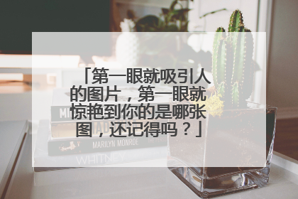 第一眼就吸引人的图片,第一眼就惊艳到你的是哪张图,还记得吗?