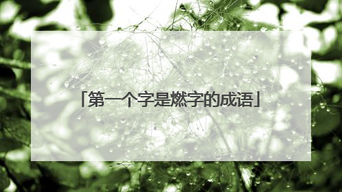 第一个字是燃字的成语