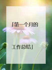 第一个月的工作总结