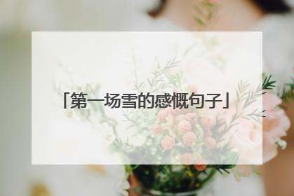 第一场雪的感慨句子