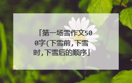 第一场雪作文500字(下雪前,下雪时,下雪后的顺序
