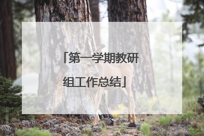 第一学期教研组工作总结