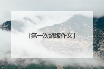 第一次烧饭作文