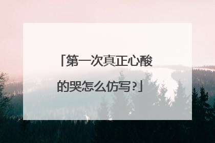 第一次真正心酸的哭怎么仿写?