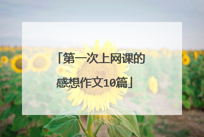 第一次上网课的感想作文10篇