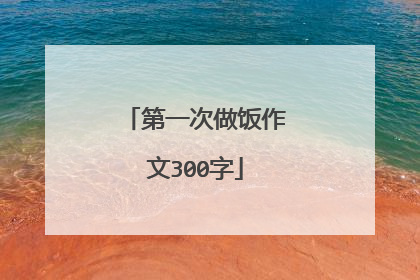 第一次做饭作文300字