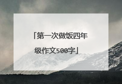 第一次做饭四年级作文500字