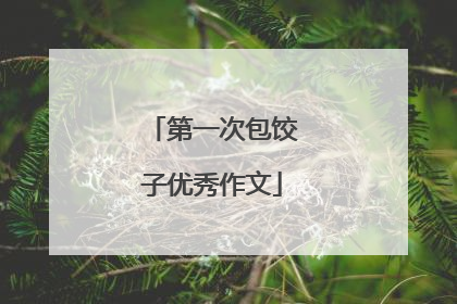 第一次包饺子优秀作文