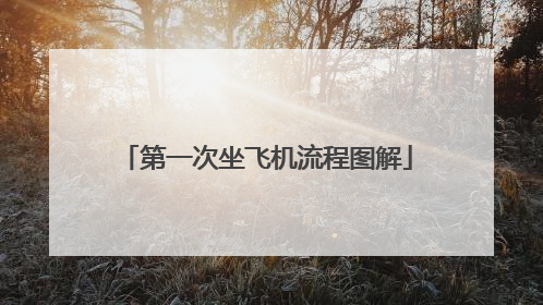 第一次坐飞机流程图解