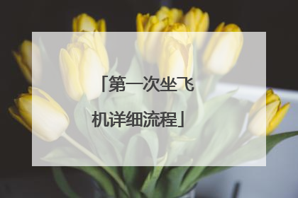 第一次坐飞机详细流程