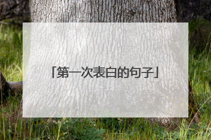 第一次表白的句子