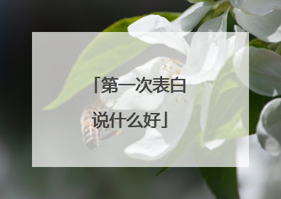 第一次表白说什么好