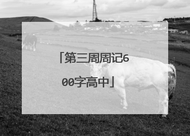 第三周周记600字高中