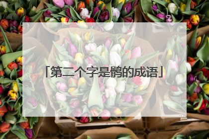 第二个字是鹘的成语