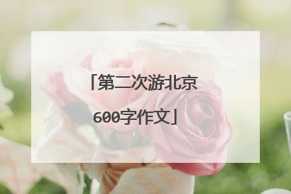 第二次游北京600字作文